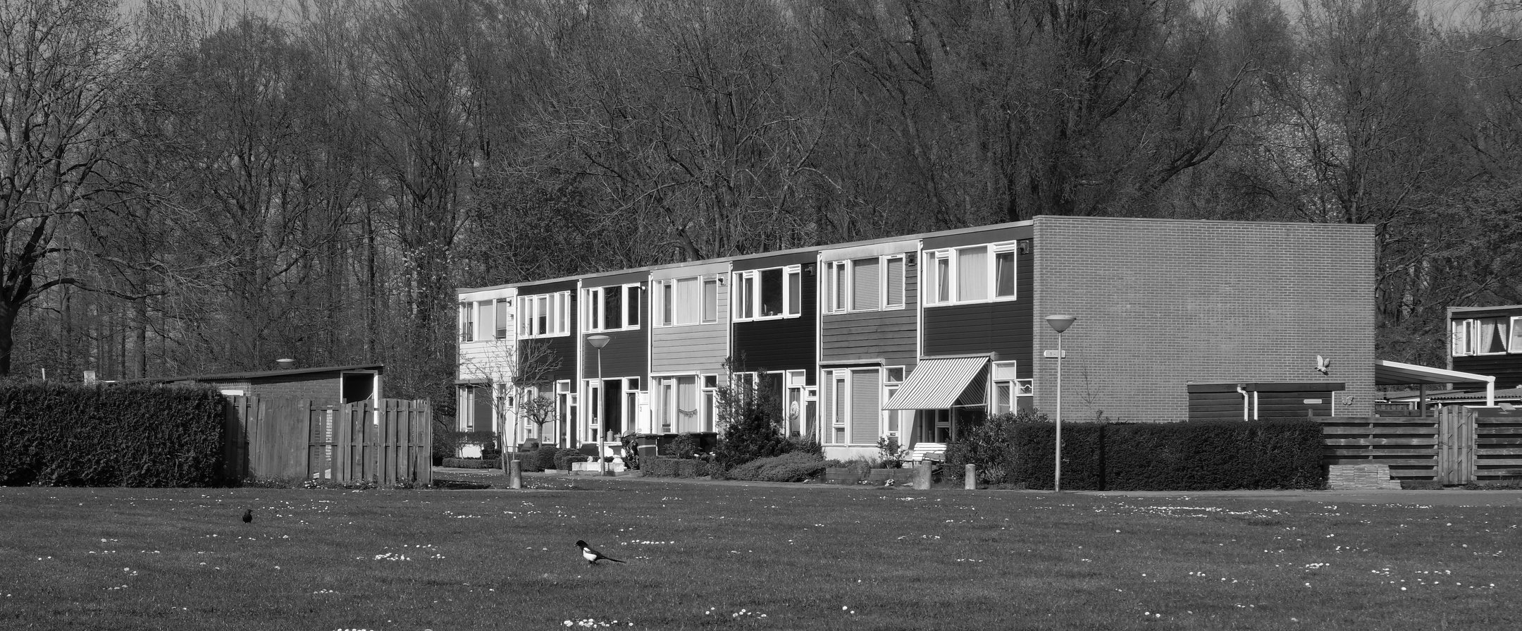 Rij woningen in Nagele